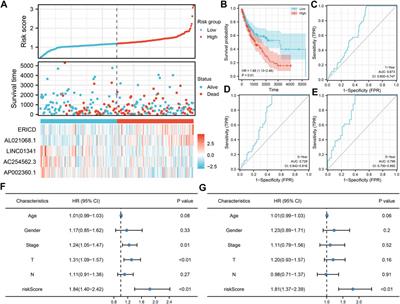 Prognostic Value and Immune Landscapes of m5C-Related lncRNAs in Lung Squamous Cell Carcinoma